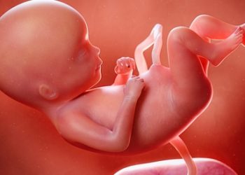 بإستخدام الذكاء الاصطناعي تركيا تتوصل لإكتشاف لفحص وعلاج الأجنة داخل الأرحام