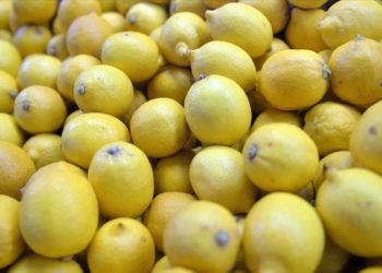 بلغت صادرات تركيا من الحمضيات 128 مليون دولار خلال يناير