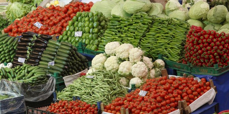 منتجات الخضار والفواكه التركية تحقق عائدات تتخطى مئتي مليون دولار