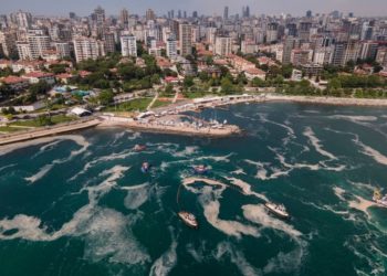 الصمغ البحري يجتاح بحر مرمرة وجهود تركية ضخمة لمعالجة الوضع