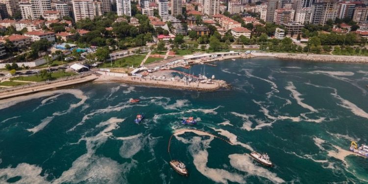 الصمغ البحري يجتاح بحر مرمرة وجهود تركية ضخمة لمعالجة الوضع