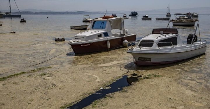 “مخاط” بحر مرمرة يثير قلقا في إسطنبول (شاهد)