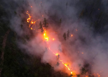 ماليزيا تعزي تركيا بضحايا حرائق الغابات