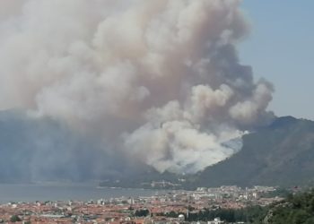 تركيا.. اندلاع حريق في “بودروم” بولاية موغلا