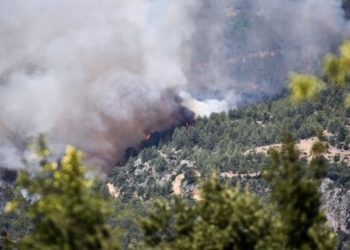 الأردن يعزي تركيا بضحايا حرائق الغابات