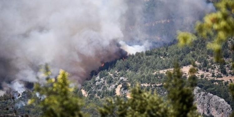 الأردن يعزي تركيا بضحايا حرائق الغابات