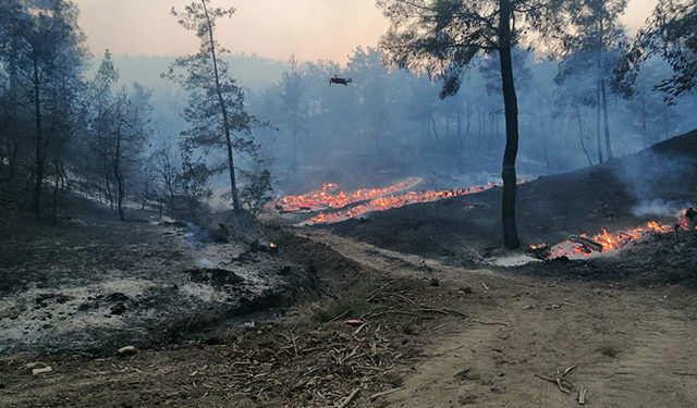 أذربيجان ترسل 500 عنصر لتركيا للمساعدة في إخماد حرائق الغابات