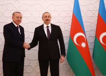 الرئيس الأذربيجاني يعزي أردوغان بضحايا حرائق الغابات