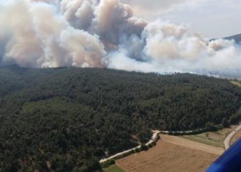 تركيا.. حريق غابات في إسبارطة