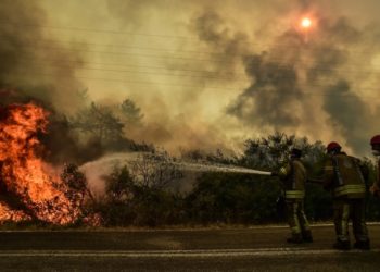 تركيا.. تواصل جهود إخماد حرائق الغابات في ولاية موغلا