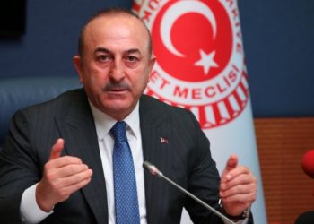 تركيا: سنسلم منازل جديدة للمواطنين المتضررين من الحرائق