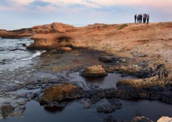 تركيا: سنتخذ التدابير للسيطرة على التسرب النفطي من سوريا