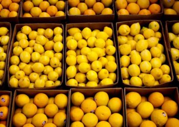 نمو صادرات الليمون التركية 59 بالمئة