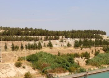 تركيا.. سوريون يسهمون في إخماد حريق وضبط الفاعلين