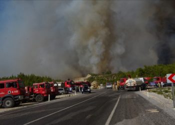 وزير الزراعة والغابات التركي تمت السيطرة على 125 حريقا في عموم البلاد