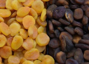 صادرات ملاطية التركية من المشمش المجفف تتجاوز 87 ألف طن