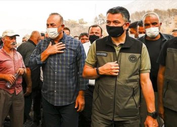 تركيا.. السيطرة على 167 من حرائق الغابات