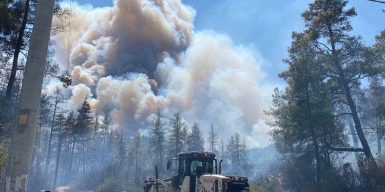 تركيا.. حريق غابة في “بوردور” والسلطات تخلي مناطق سكنية