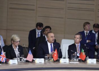 تشاووش أوغلو يؤكد دعم بلاده وحدة الأراضي الأوكرانية