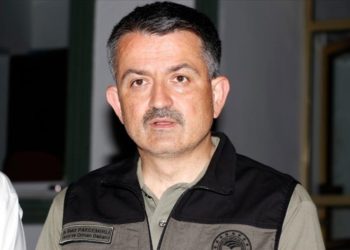 تركيا… تعلن السيطرة على حرائق الغابات باستثناء موقعين