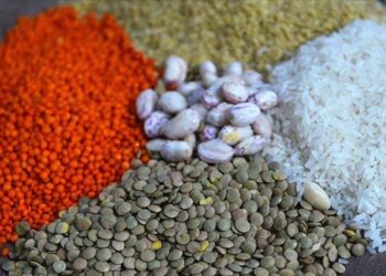 تركيا.. صادرات الحبوب والبقوليات تتجاوز 8 مليارات دولار