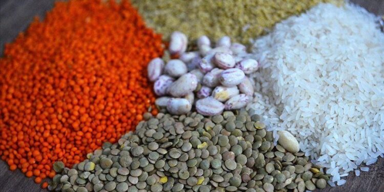 تركيا.. صادرات الحبوب والبقوليات تتجاوز 8 مليارات دولار