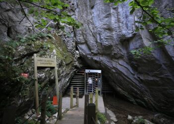 تركيا.. إقبال كبير على كهف للخفافيش بولاية قرقلار إيلي