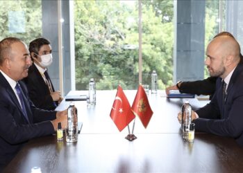 تشاووش أوغلو يلتقي وزير خارجية الجبل الأسود في أوكرانيا