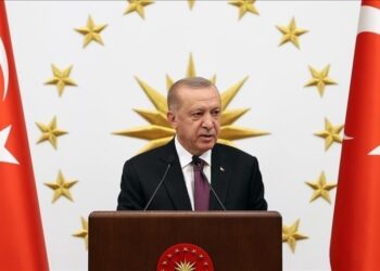 أردوغان: نسعى جاهدين لإيصال تركيا إلى المكانة التي تستحقها