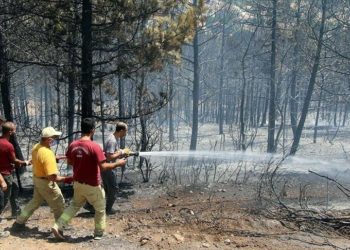 إخماد حريق بولاية “أوشاق” غربي تركيا