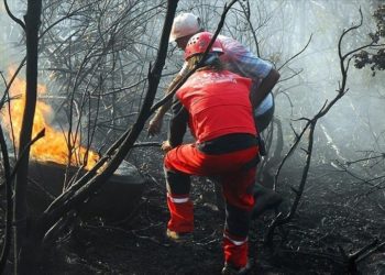 تركيا.. السيطرة على 180 حريقا في 38 ولاية
