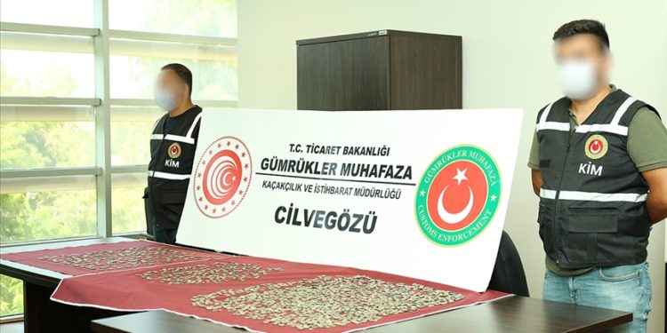 تركيا تحبط عملية تهريب عملات أثرية من سوريا