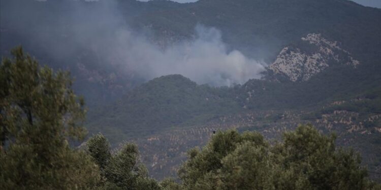 فرق الإطفاء تكافح حريق غابة اندلع شمال غربي تركيا