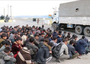 السلطات التركية تضبط 24 مهاجرا غير نظامي شرقي البلاد