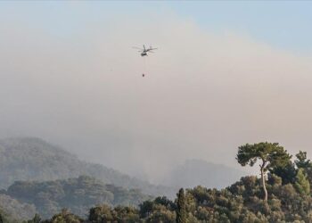 فرق الإطفاء التركية تواصل جهودها لإخماد حريق “جبال قاز”