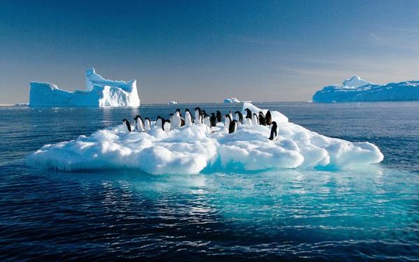 خبراء يحذرون البشرية: درجات الحرارة ستواصل الارتفاع