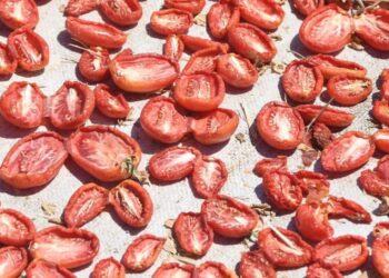 تركيا.. صادرات الطماطم المجففة تحقق 62 مليون دولار