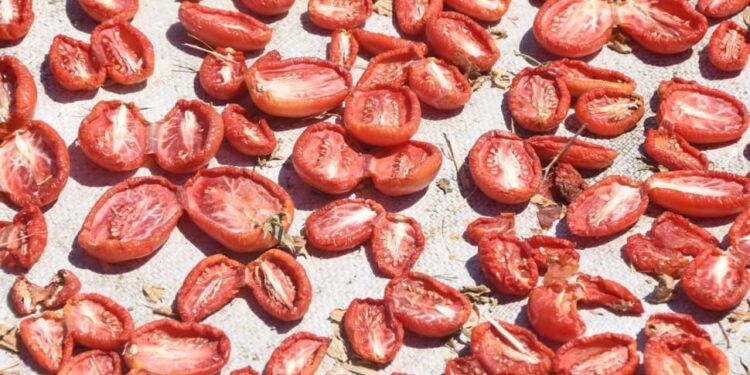 تركيا.. صادرات الطماطم المجففة تحقق 62 مليون دولار