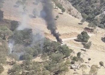 الاستخبارات التركية تحيد 3 قياديين من "بي كا كا" شمالي العراق