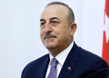 تشاووش أوغلو: سنعمل مع أوزبكستان بشأن أفغانستان