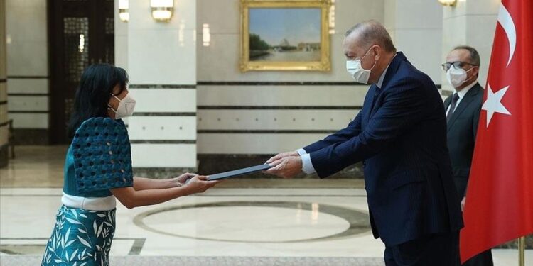 أردوغان يتسلّم أوراق اعتماد سفراء بوليفيا والفلبين وطاجيكستان