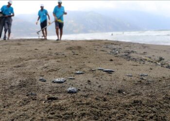 تركيا تواصل تنظيف سواحل هطاي من آثار النفط السوري