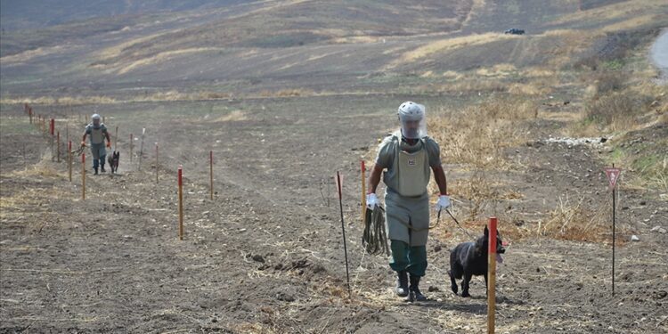بدعم تركي.. أذربيجان تواصل نزع الألغام من “قره باغ” المحرر