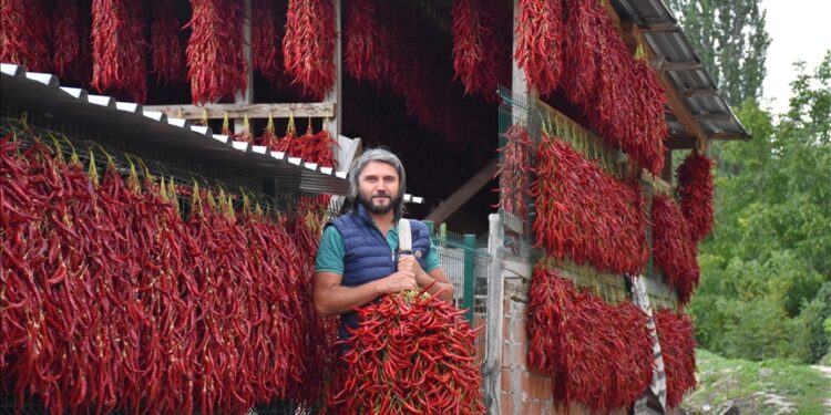 قرية تركية يزينها الفلفل الأحمر