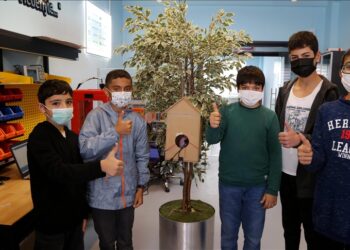 “أعشاش خشبية”.. منظومة لمكافحة الحرائق يصممها تلاميذ أتراك