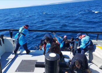 تركيا.. إنقاذ 63 طالب لجوء أجبرتهم اليونان على العودة