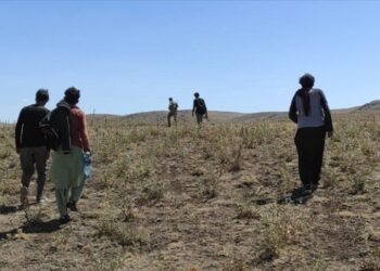 ضبط 57 مهاجرا غير نظامي شرقي تركيا