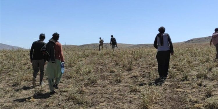 ضبط 57 مهاجرا غير نظامي شرقي تركيا