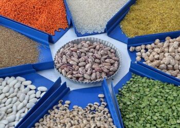 الصادرات الزراعية التركية تحطم رقما قياسيا