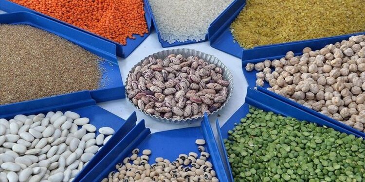 الصادرات الزراعية التركية تحطم رقما قياسيا